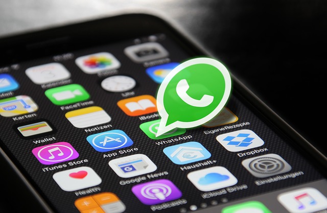 Cosa ti interessa sapere per aggiornare WhatsApp